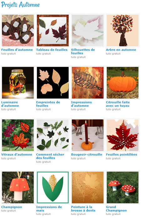 Projets Automne
