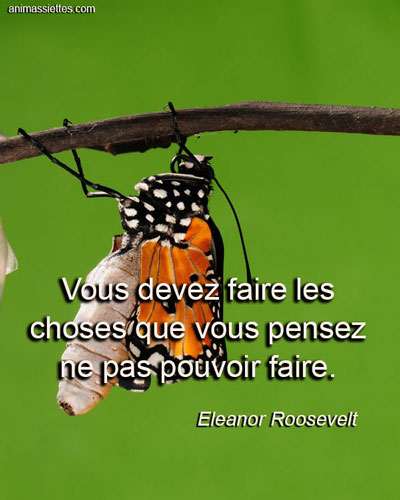 Citation