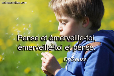 Citation