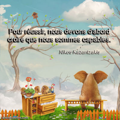 Citation