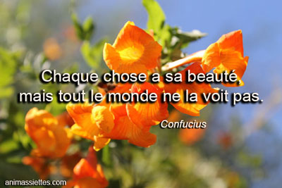 Citation