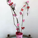 Arbre de St
Valentin