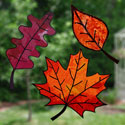 Vitraux d'automne