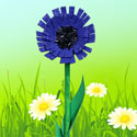 Fleur bleue avec une boite à oeufs