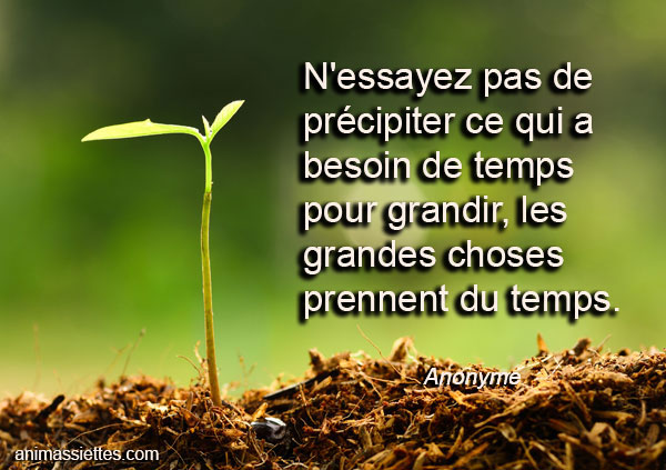 N Essayez Pas Animassiettes