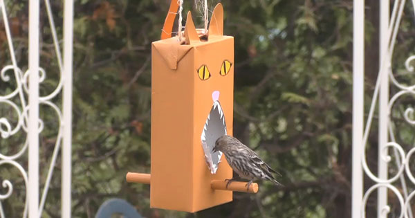 Fabriquer une mangeoire oiseaux en bouteille de plastique : tutos