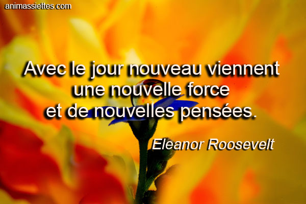 Avec le jour nouveau… – Animassiettes